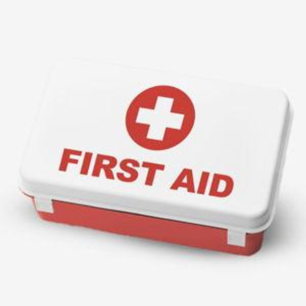 First Aid Only 313 Piece Home & Go Emergency First Aid Kit (91081)