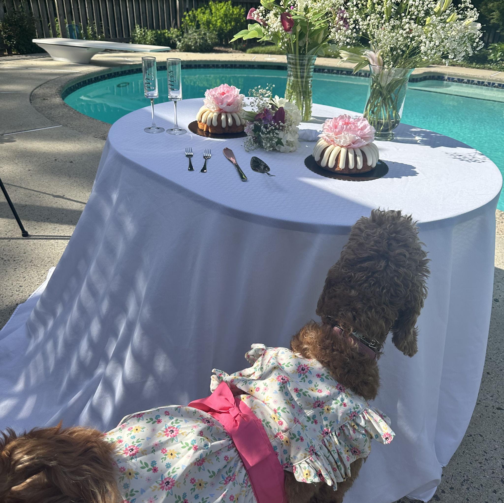 Our little flower girl trying to steal a bite of cake