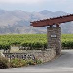 Tolosa Winery