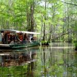 Swamp Tours New Orleans
