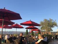 EAT/DRINK: Sky & Vine Rooftop Bar
