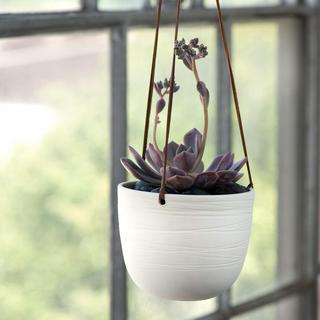 Scribble Hanging Planter