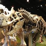 Perot Museum of Nature and Science