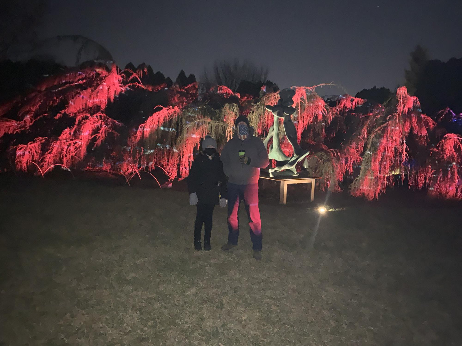 Another crazy adventure to Grounds For Sculpture!!