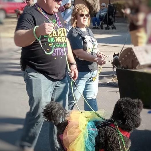 Mardi Gras parade. 2025