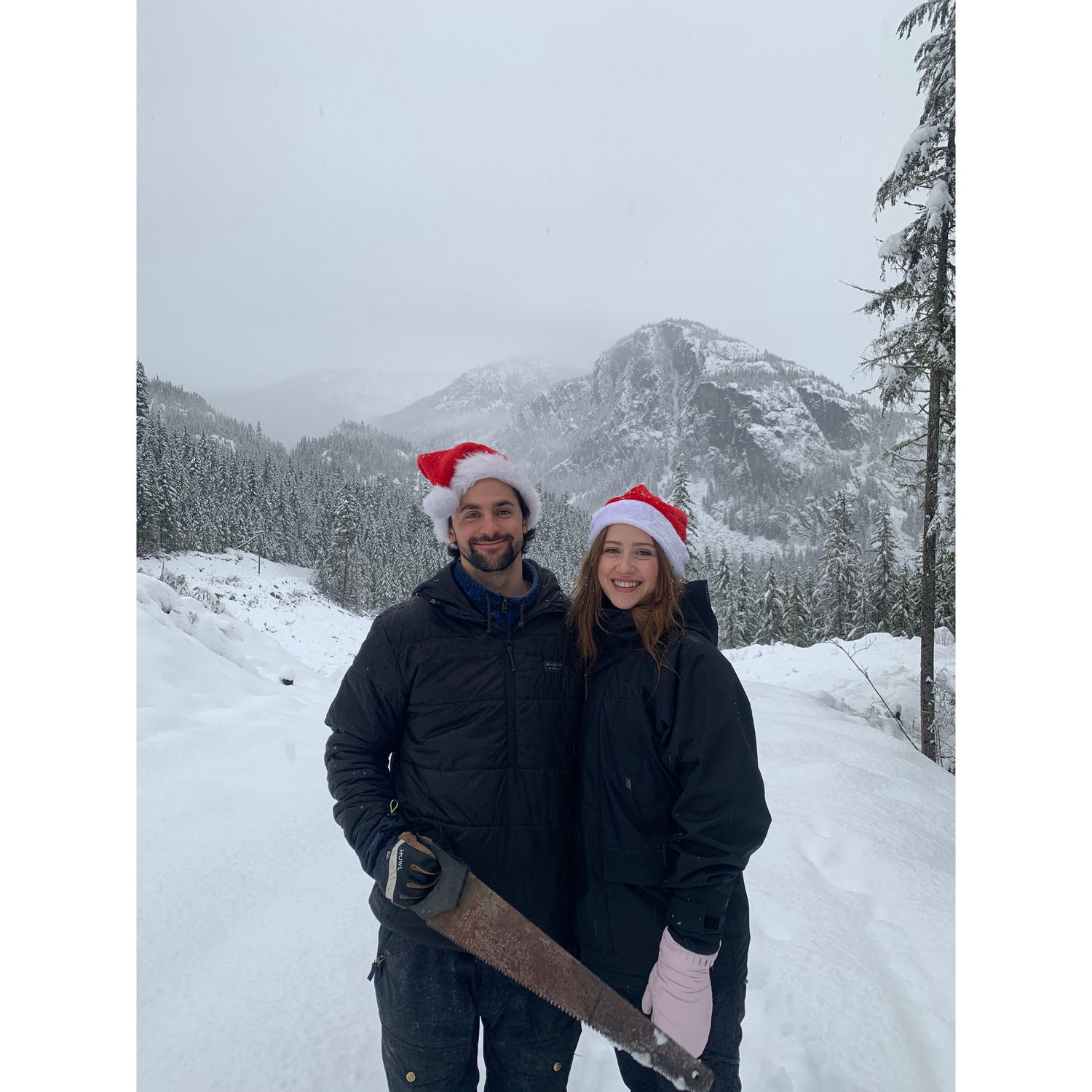Chopping our first Christmas Tree
