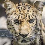 Santa Barbara Zoo