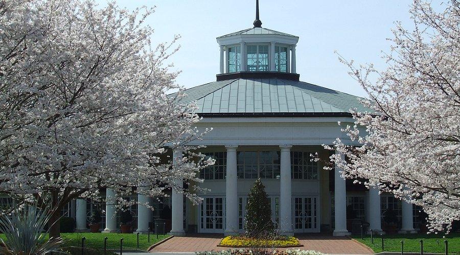 The Wedding Website of Mitchell Dawson and Sadiraa Pryor