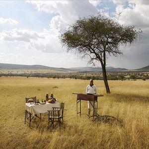 Breakfast with Giraffes on our Honymoon