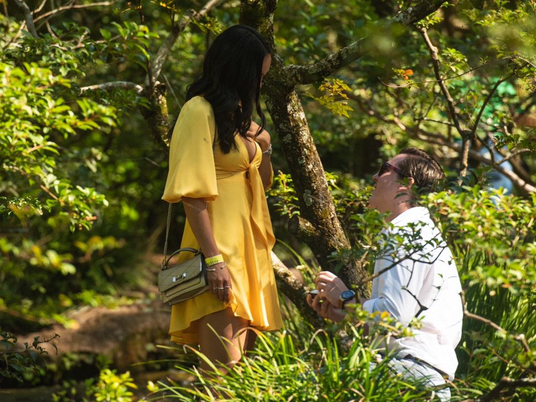 The Wedding Website of Regina Lucca and Ricardo Lucca