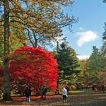 Westonbirt, The National Arboretum