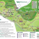 Tyler Arboretum