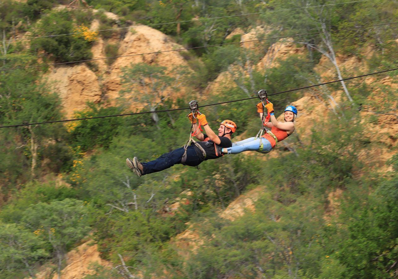 00b283de-5120-4925-ac24-3e3fb3e16c36