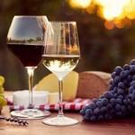 Wine Tastings