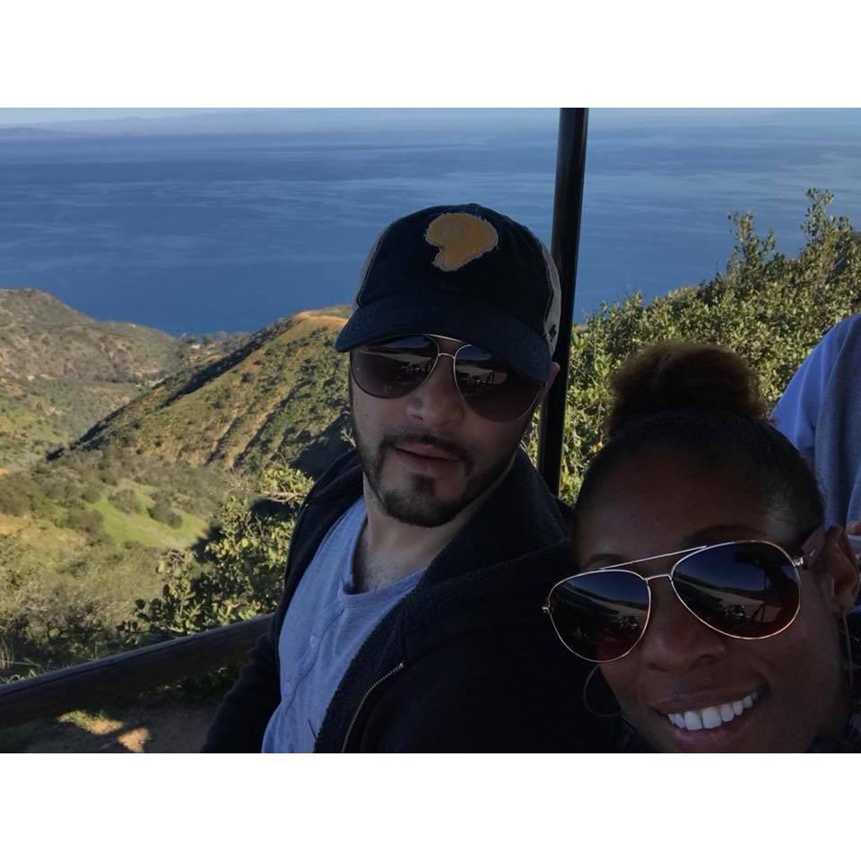Buffalo watching on Catalina Island