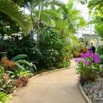 Daniel Stowe Botanical Garden