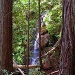 Big Basin Redwoods State Park