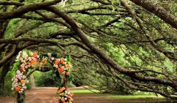 The Wedding Website of Eric Wall and Megan Hoggard