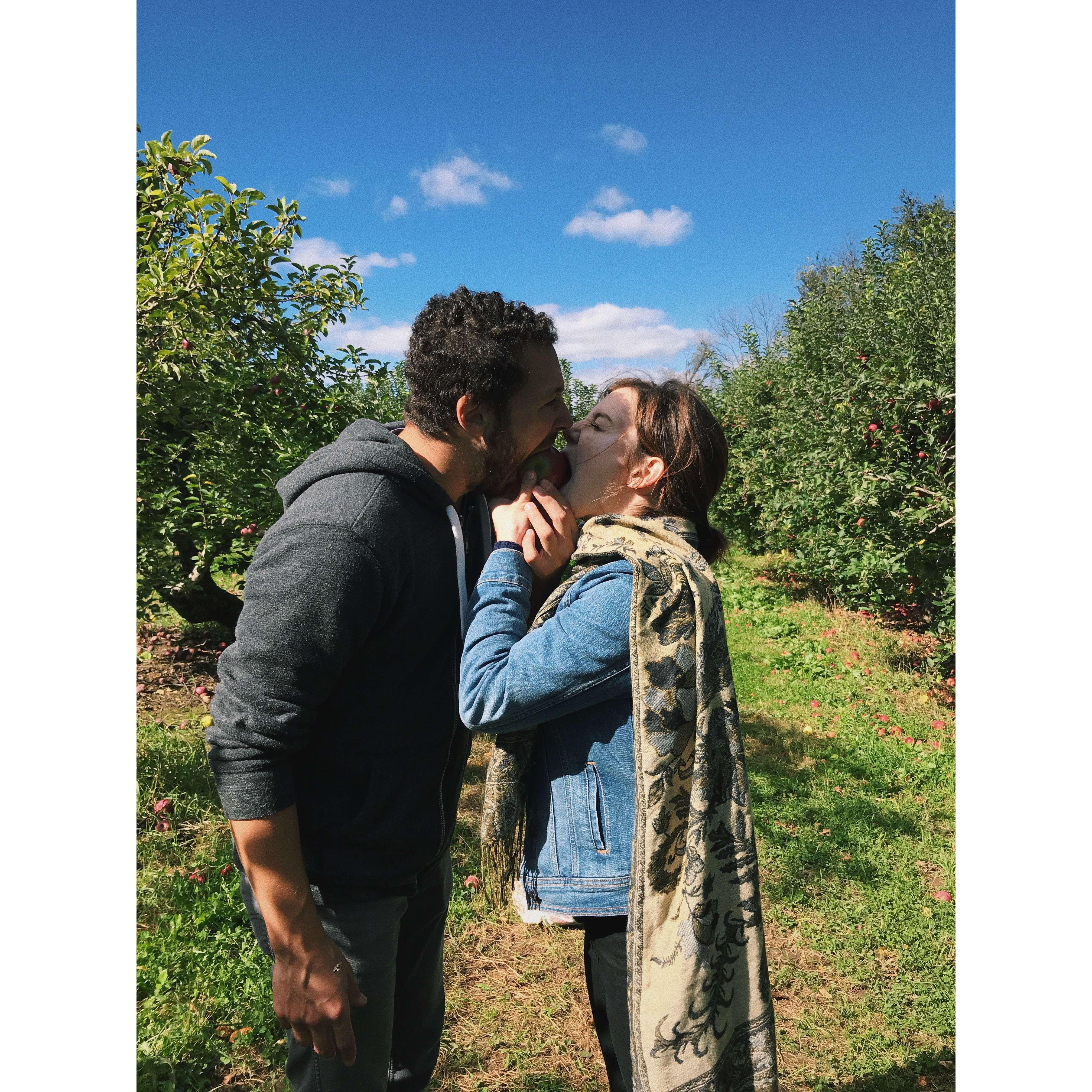 Alex's first time apple picking!