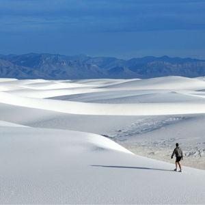 White Sands leg