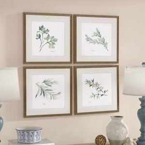 'Herbs' 4 Piece Framed Graphic Art Print Set