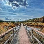 The Windham Path
