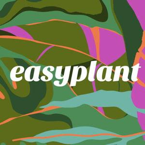 House plants
