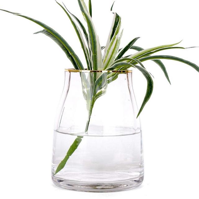 VanEnjoy 7 inch Clear Simple Glass Flower Vase, Decorative Gilded Rim Vase Home Decor for Indoor Centerpiece