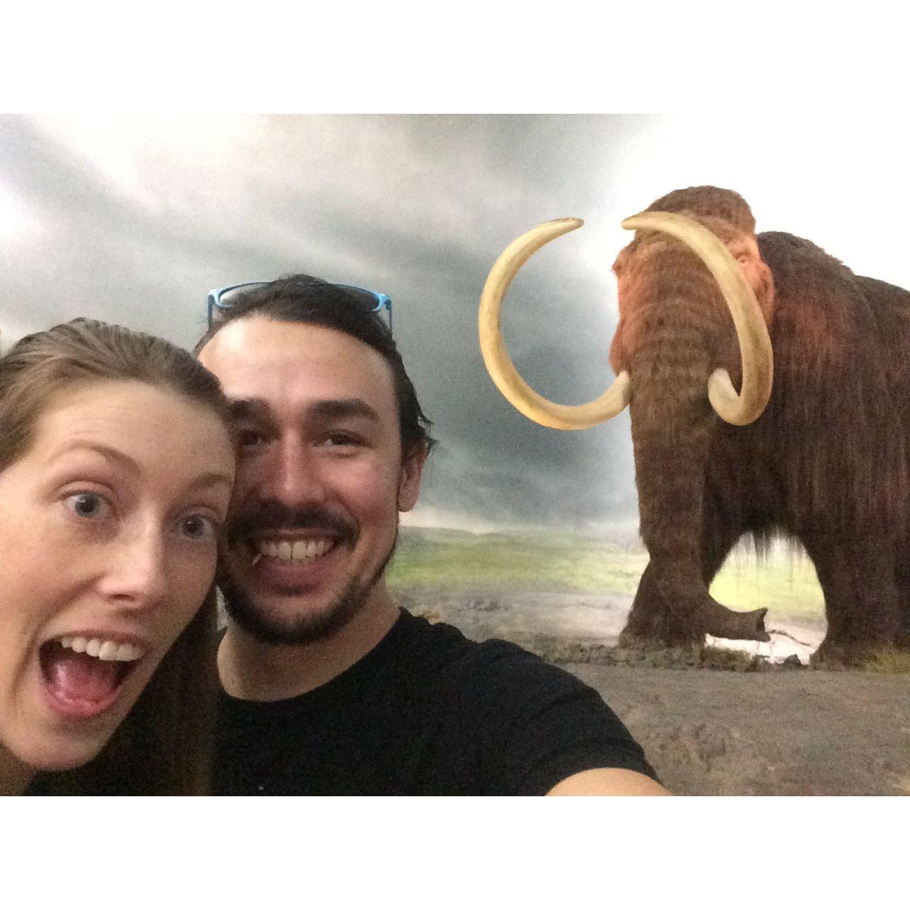 Mammoth attack!