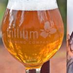 Trillium Brewing Company