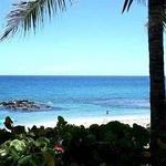 Red Reef Park