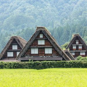 Day Tour | Shirakawago