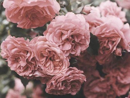 The Wedding Website of Kristy White and Benjamin Walker
