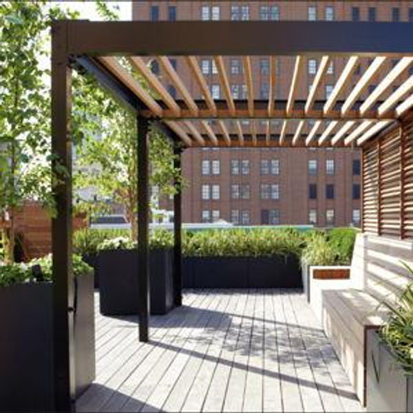 Rooftop Pergola