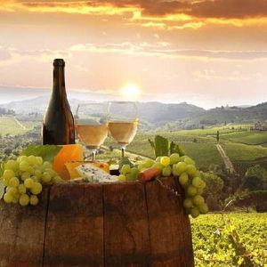 Wine Tour in Tuscany