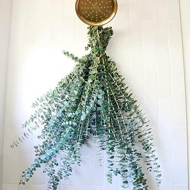 MAMA WUNDERBAR Eucalyptus Shower Bundle, a self Care kit with Fresh Eucalyptus Stems. Natural Eucalyptus Shower Steamer. Zero Waste