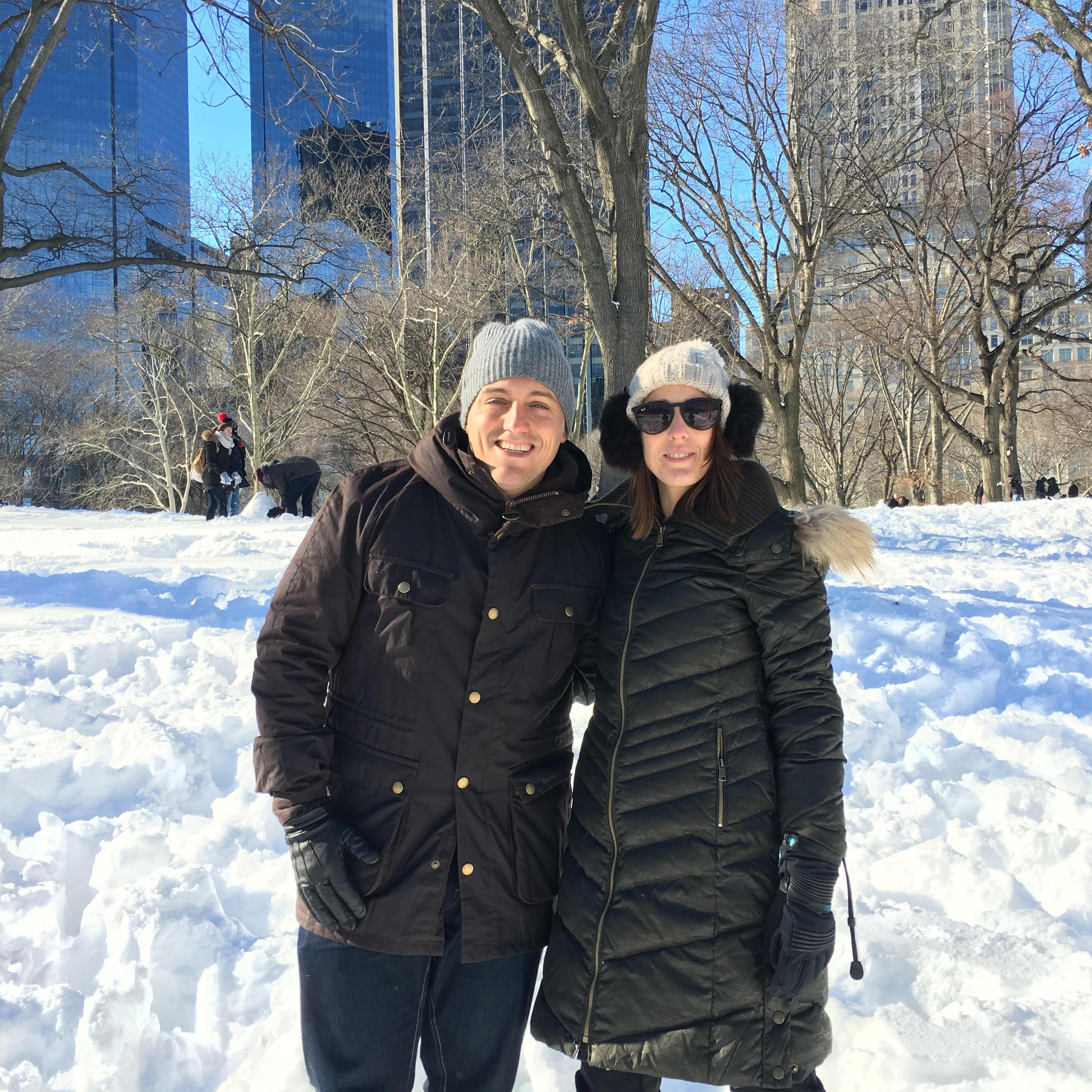 Snowy Central Park