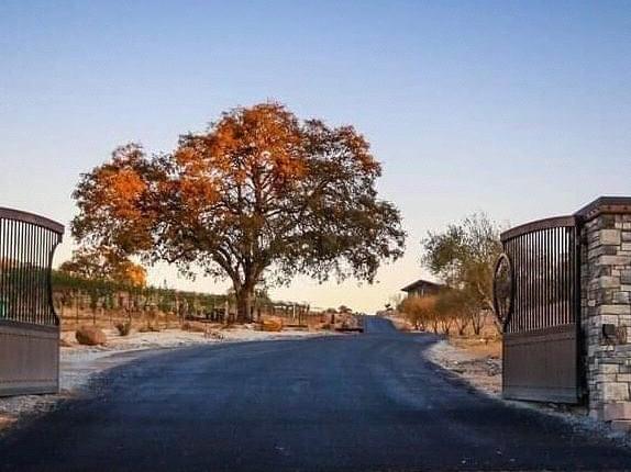 The Wedding Website of Mina Zermani and Patrick Brinzo