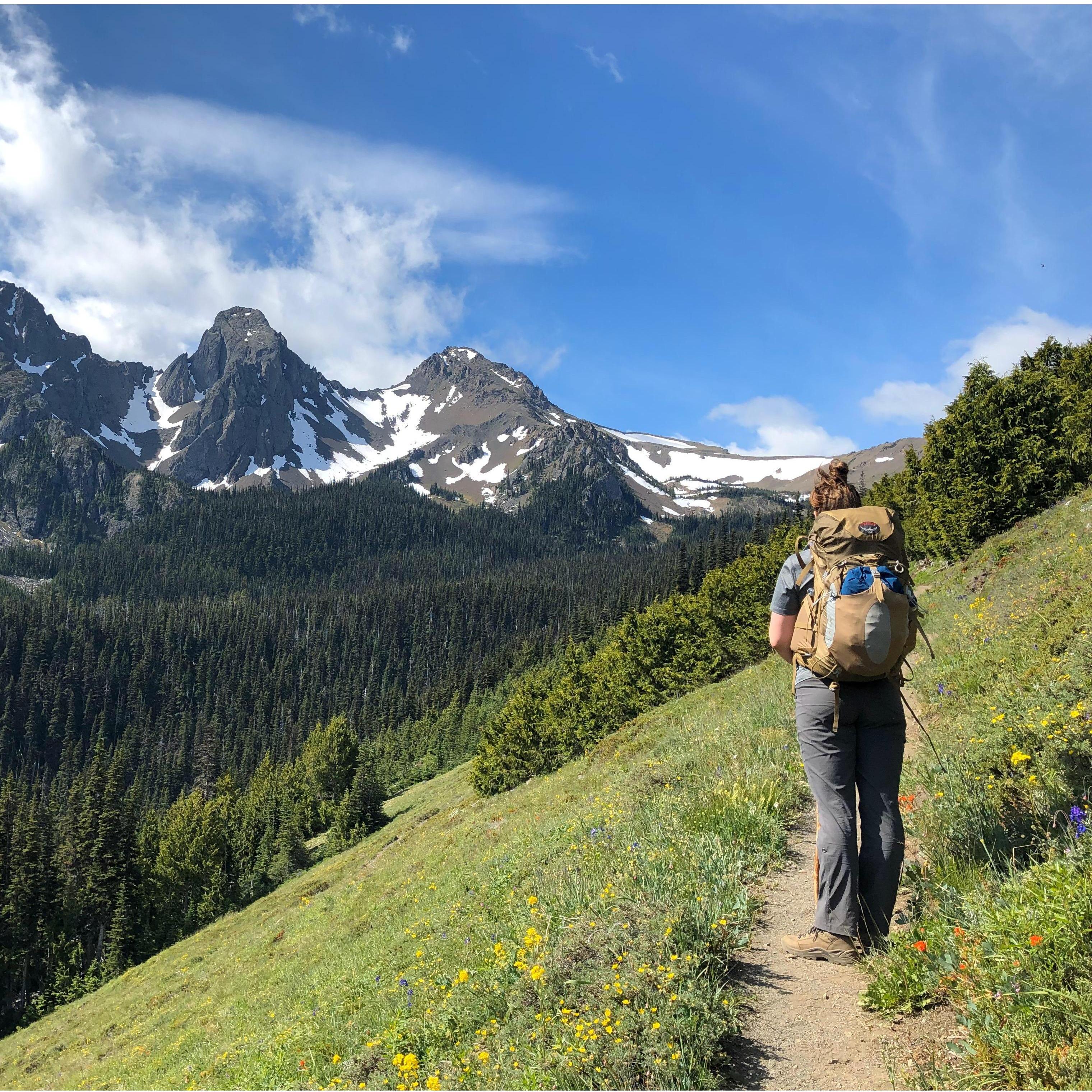 Madeline's favorite hike Austin has taken her on in the Olympic Mountains. Its like the Sound of Music.