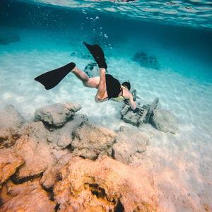 Snorkeling Excursion