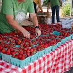 Bentonville Farmer's Market