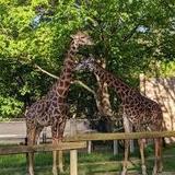 Lehigh Valley Zoo