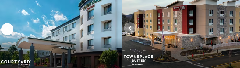 The Wedding Website of Dana Heisler and Lyle Birnhak