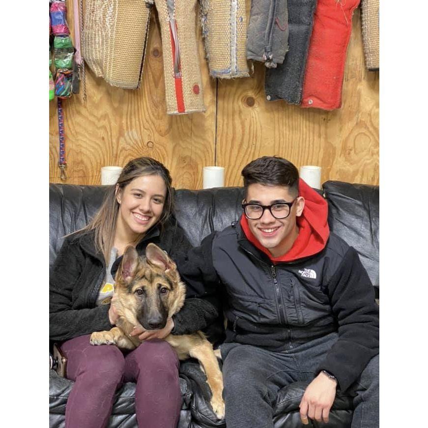 Our first dog