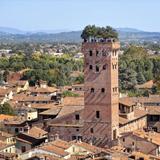 Climb Guinigi Tower