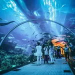 Georgia Aquarium