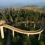Clingmans Dome