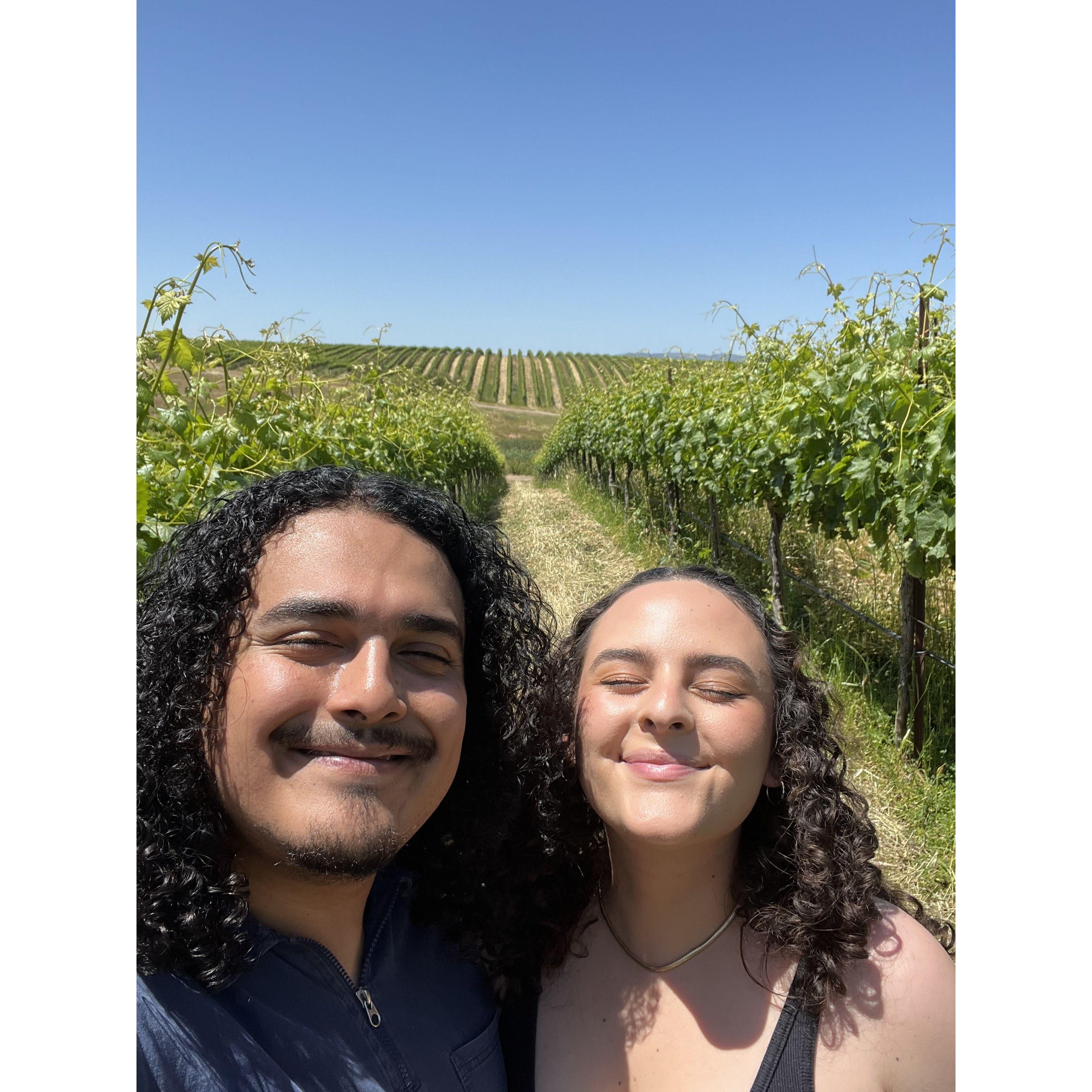 Dunnigan Vinyard Tingz