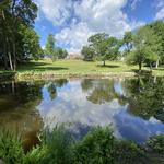 Waveny Park