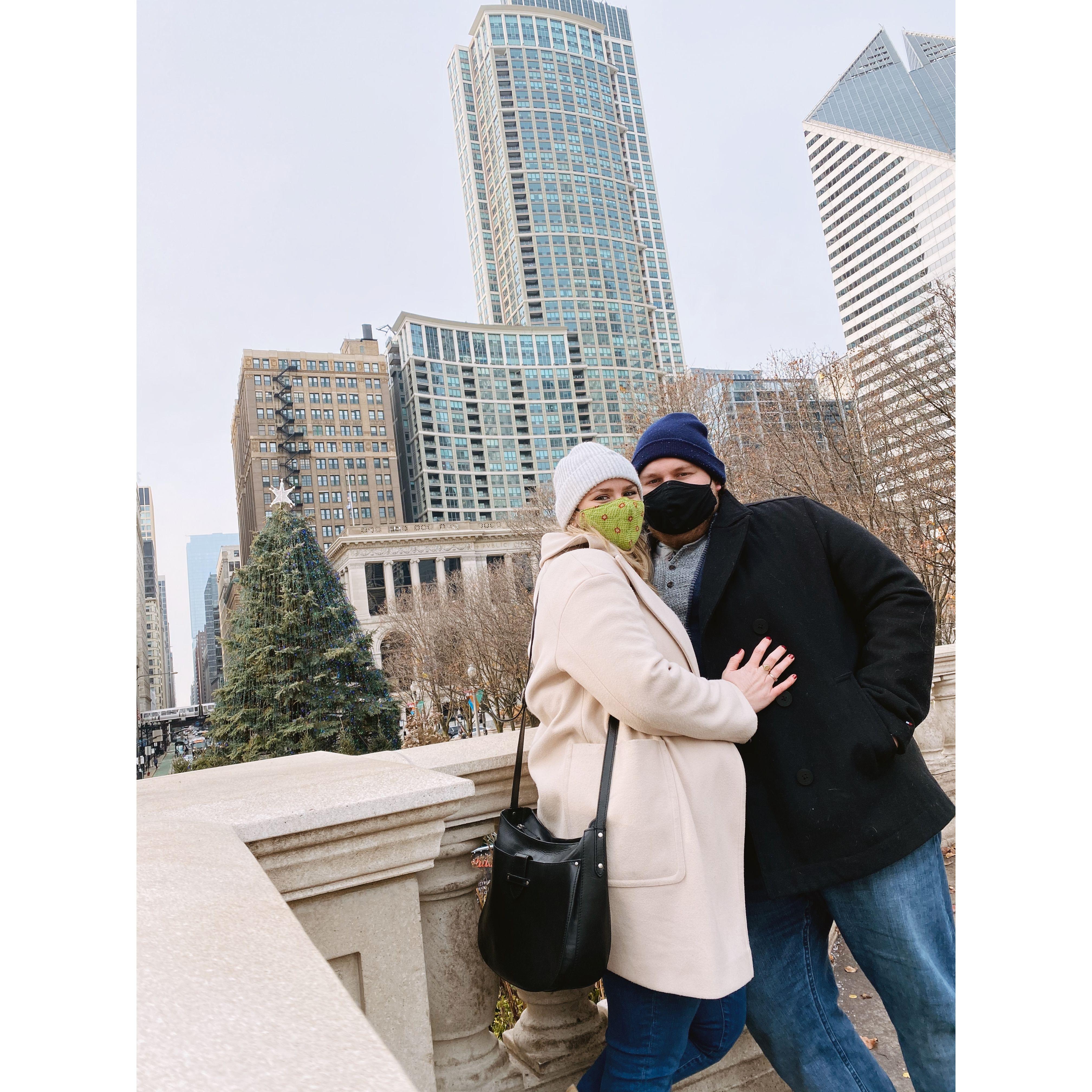 2020 picture at the city tree